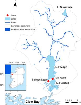 Decadal Trends in the Migration Phenology of Diadromous Fishes Native to the Burrishoole Catchment, Ireland